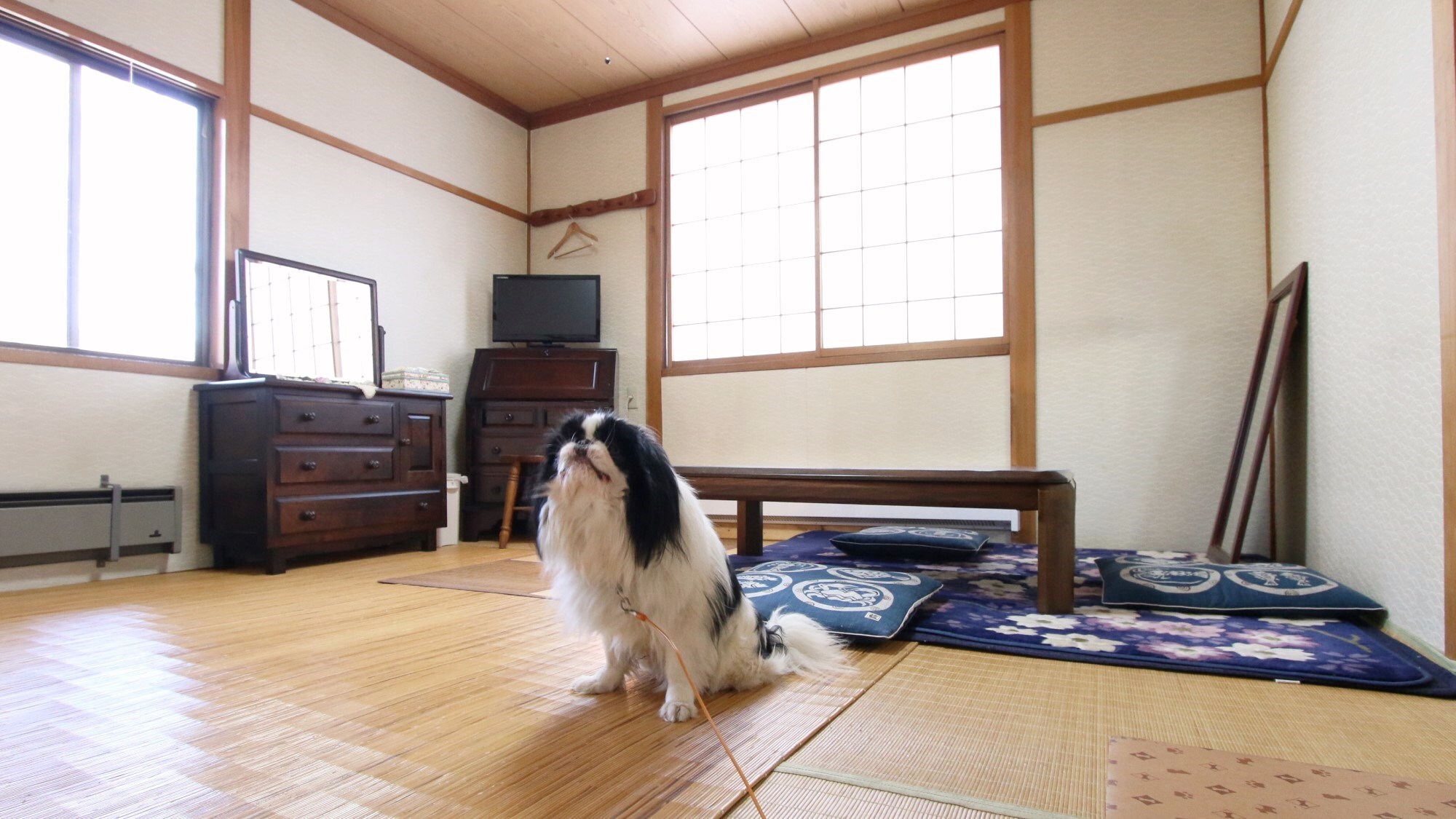 [Guest Room] 201, Japanese-style room with 8 tatami mats