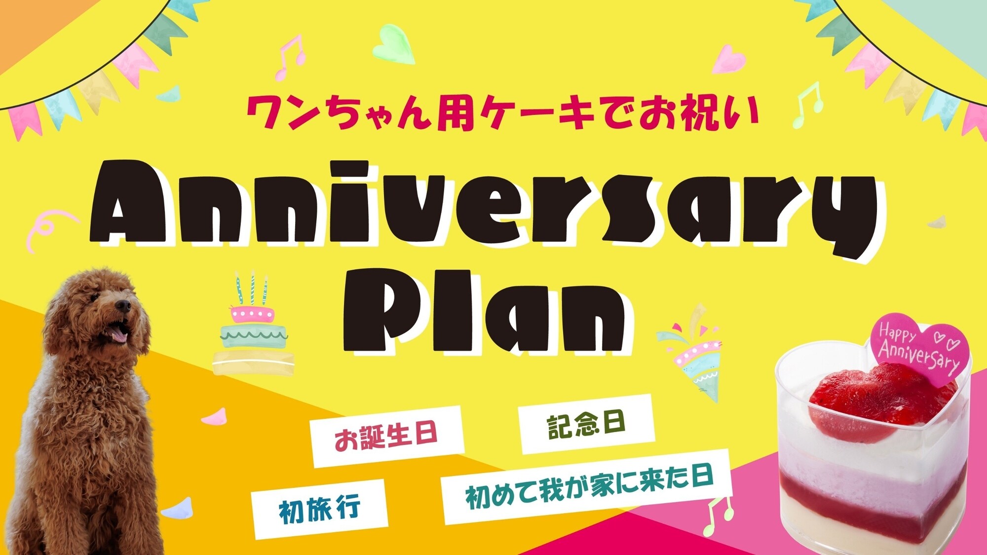 Dog Anniversary Plan