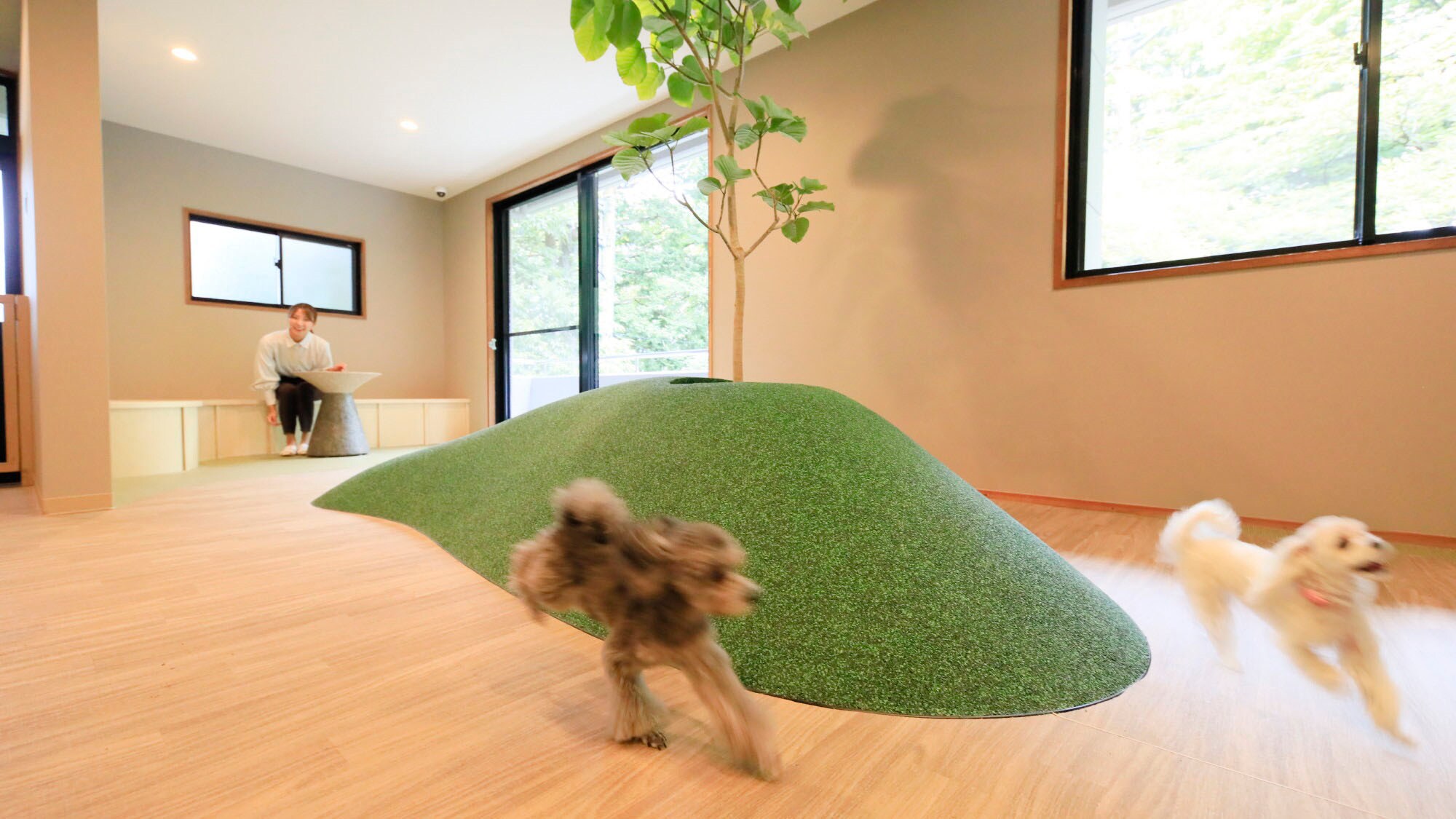 [Indoor dog run] Non-slip material allows dogs to run around energetically