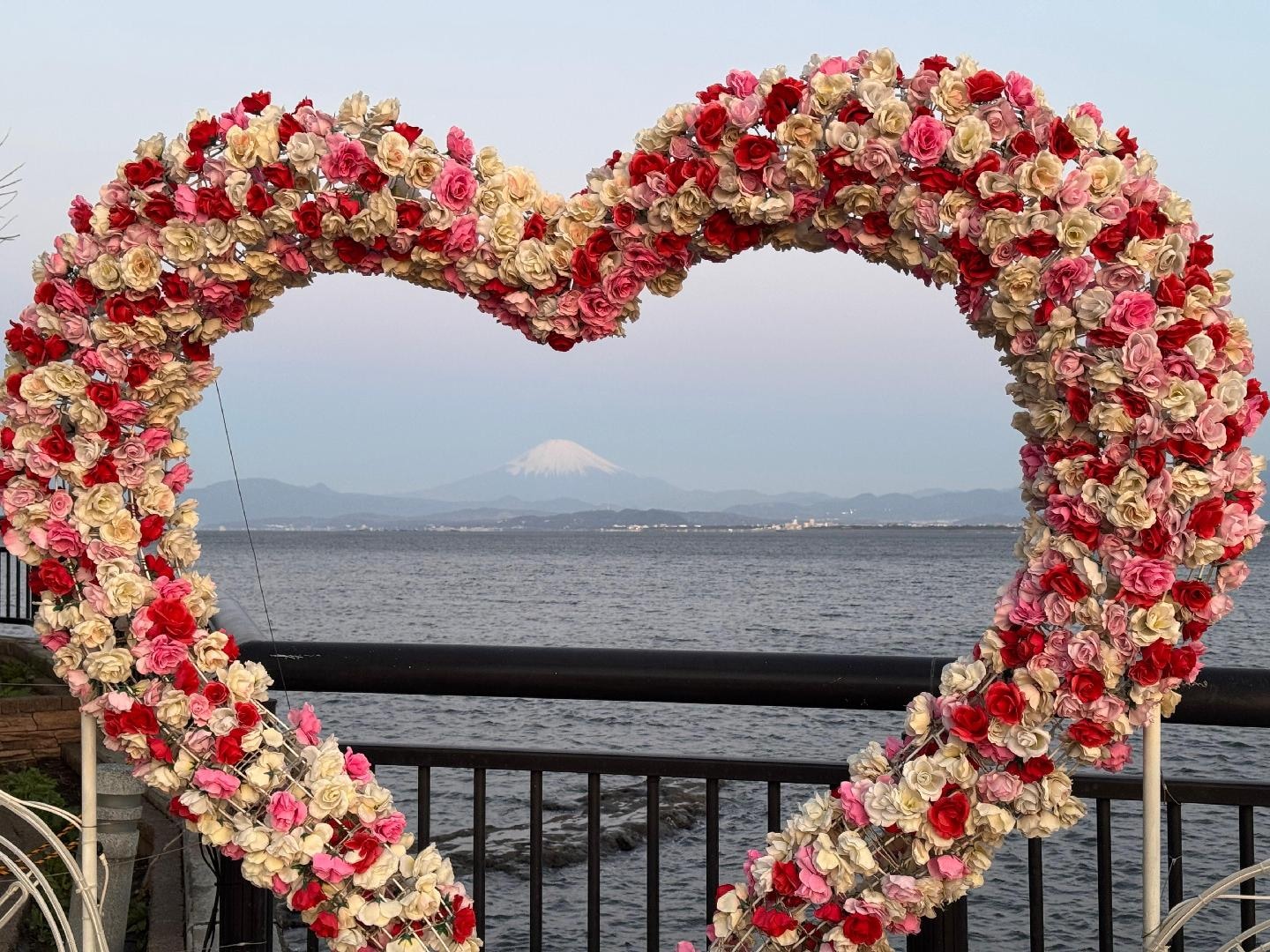 5B3514C9-2C8A-4D95-9366-8A2443D5311D.jpeg
