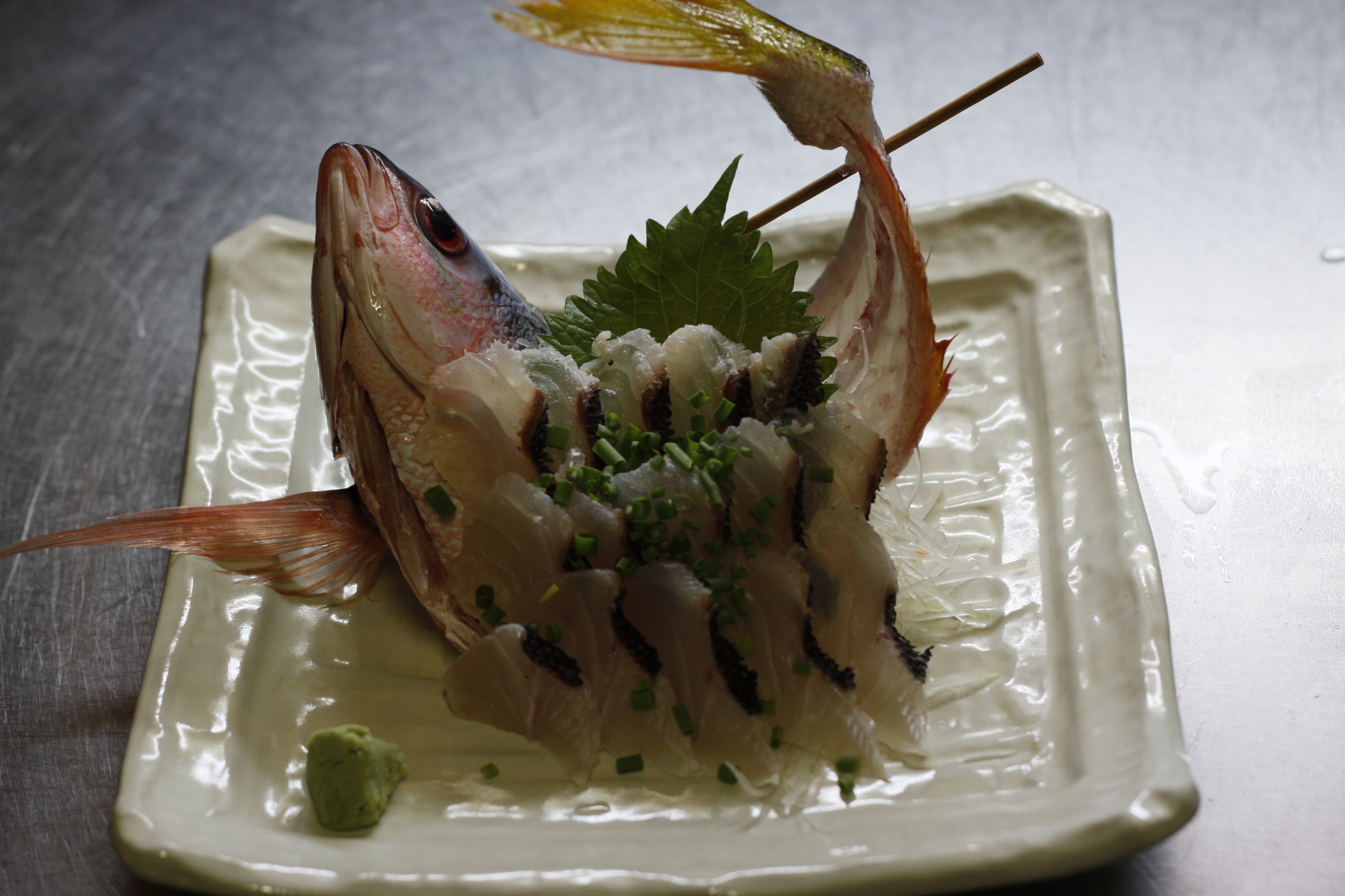 Gurukun's appearance Sashimi! !!