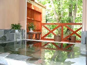 A new large observation bath overlooking the forest