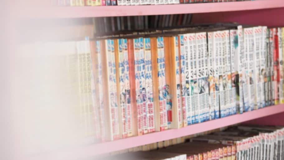 Unlimited reading of 500 comic books in the hall / guest room