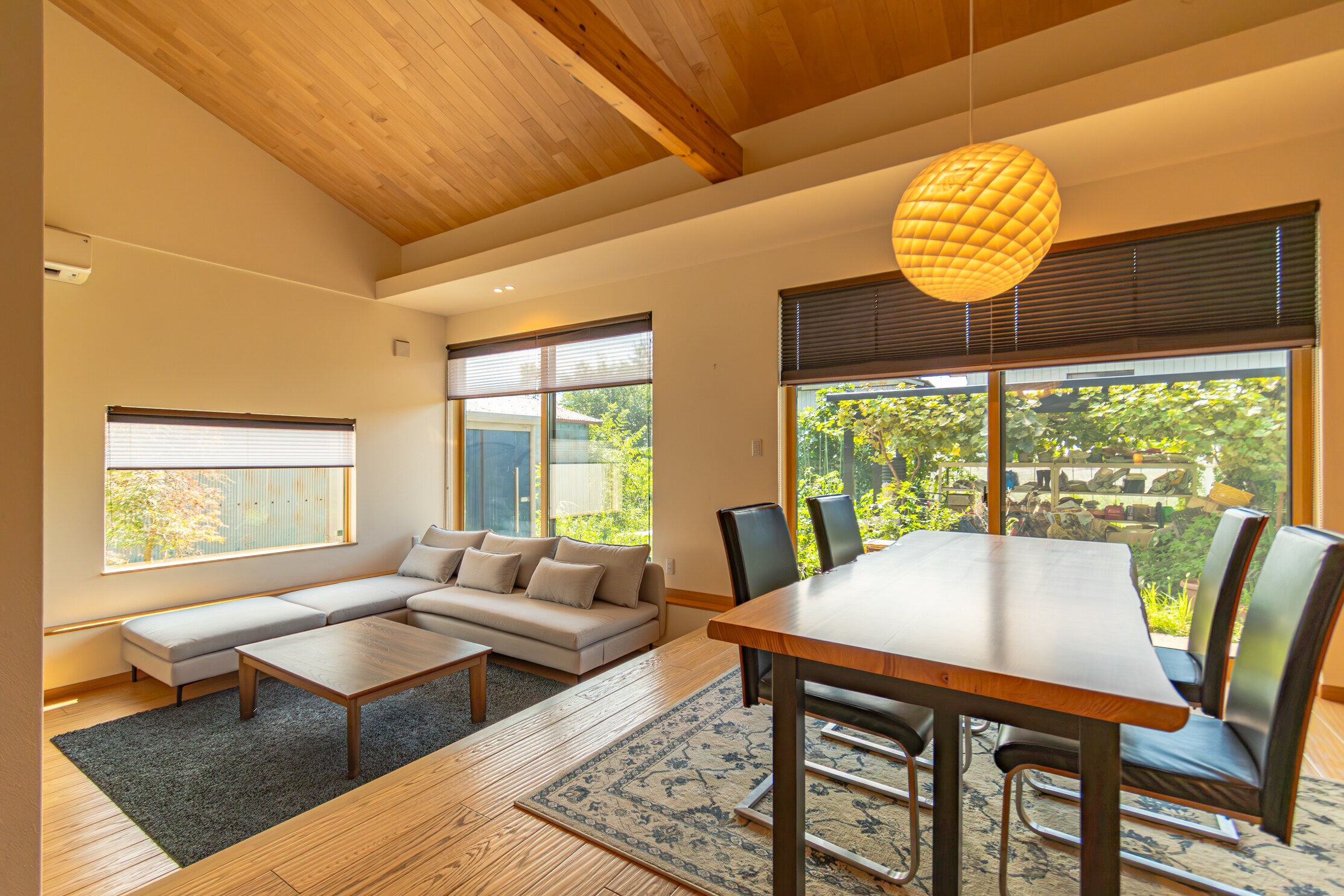 Living/dining room