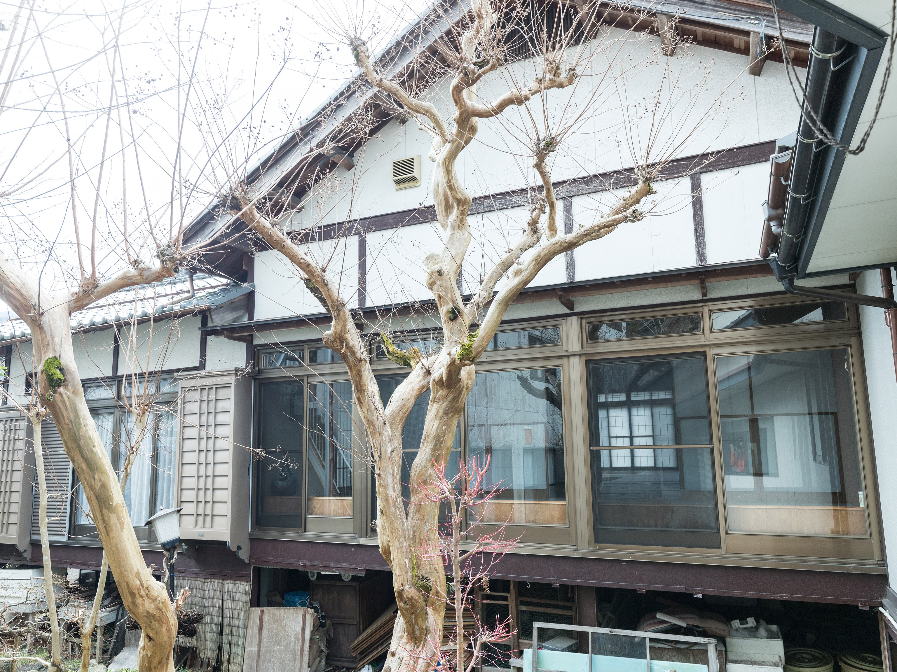 庭院