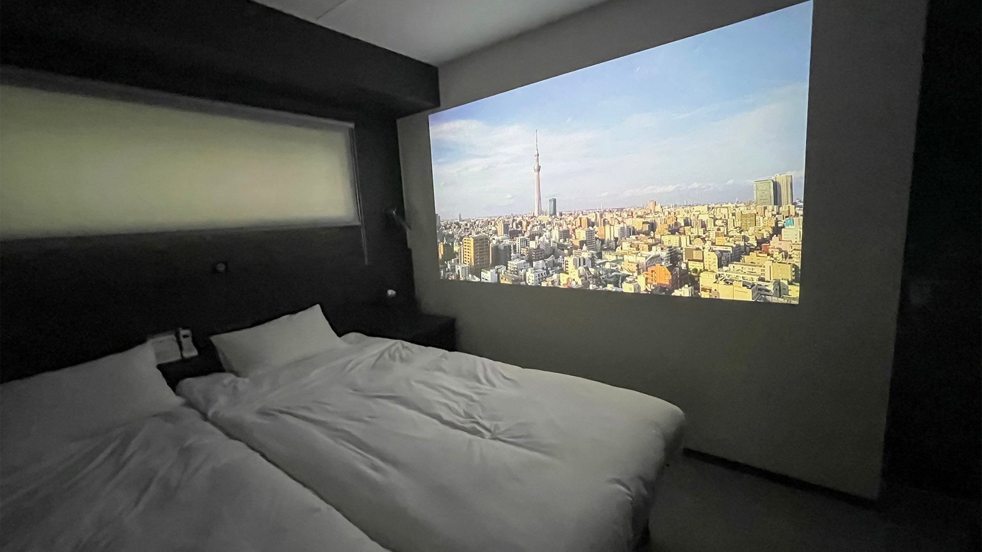 ・ Theater room plan