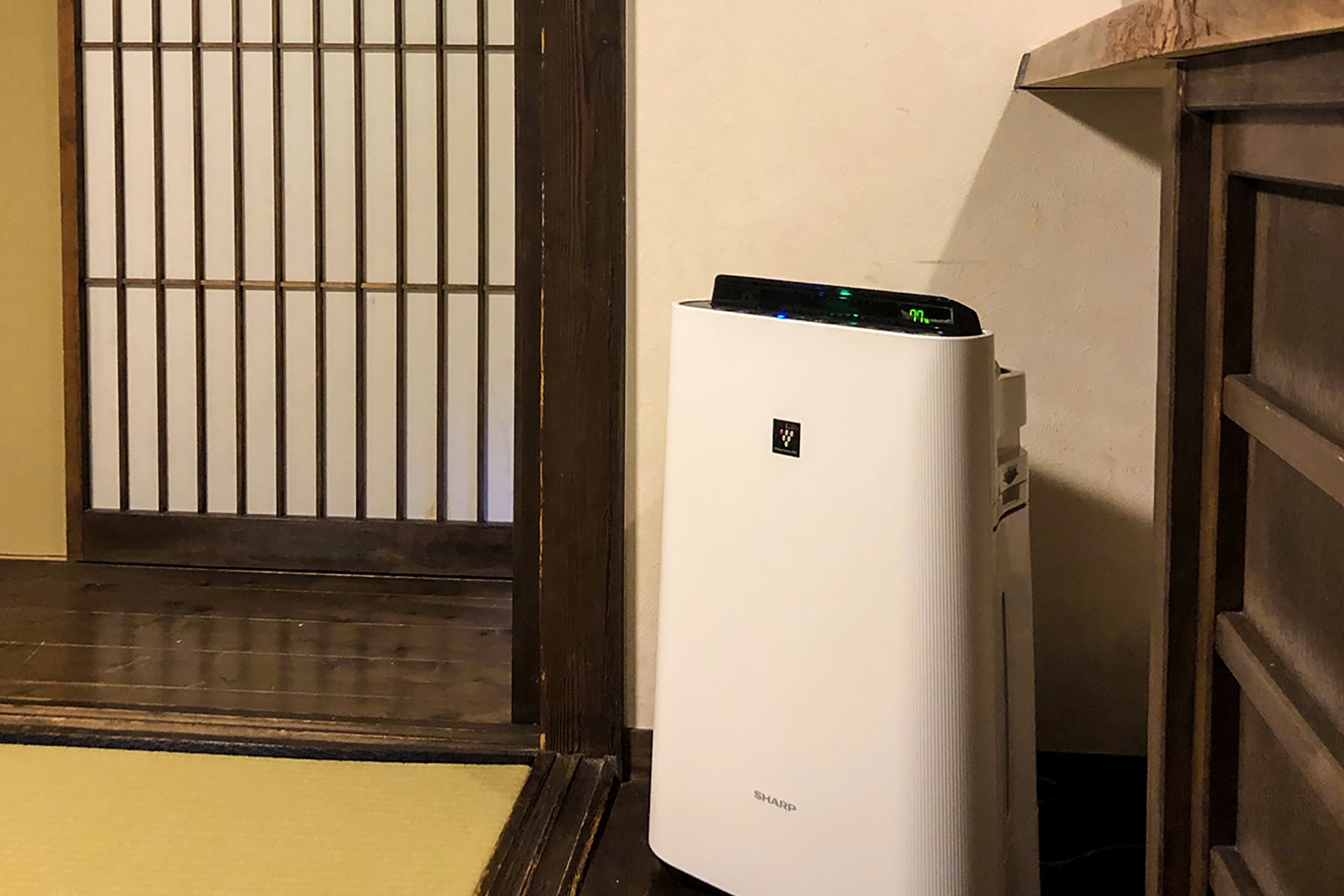 客廳 5