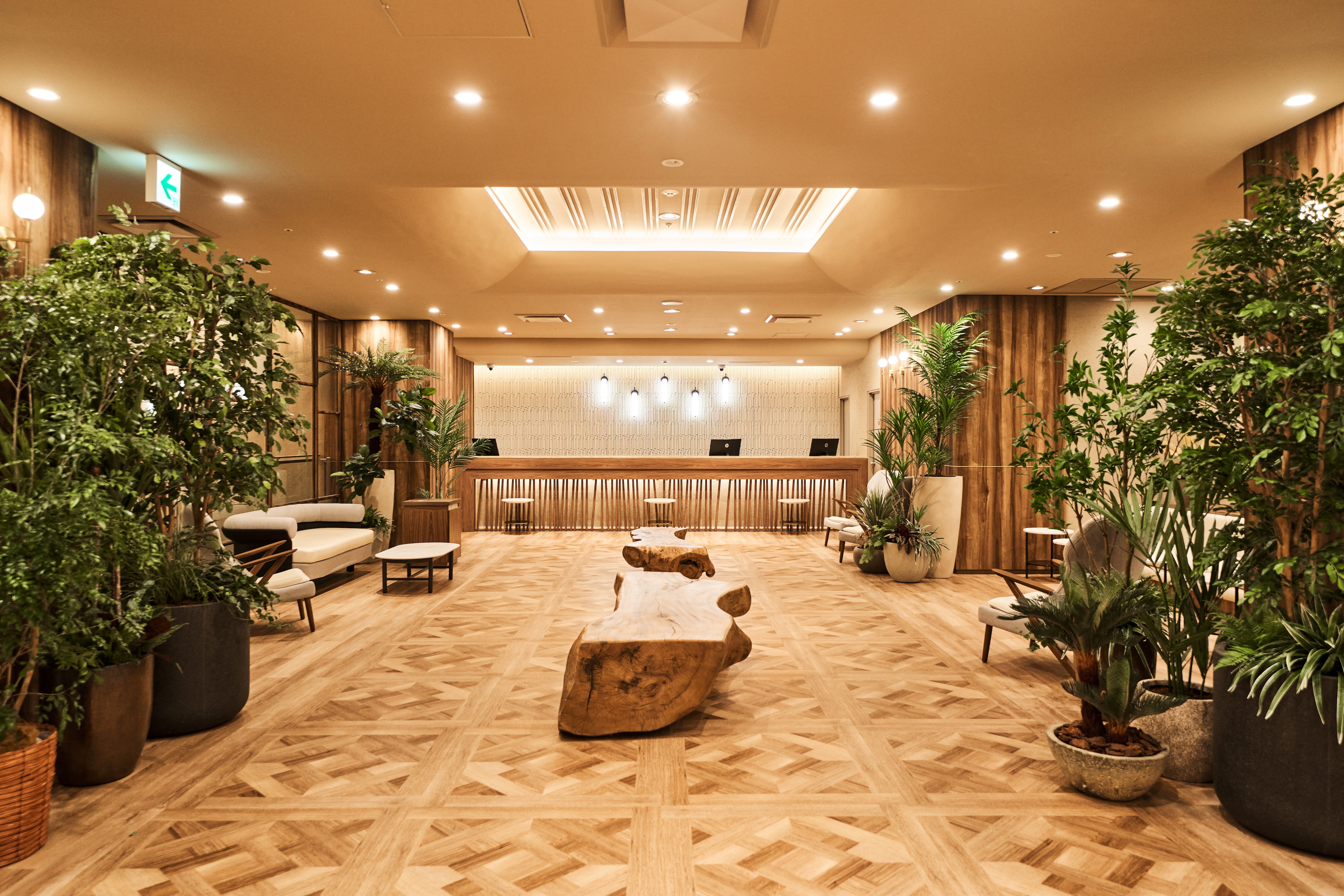 [2樓大廳] 大量令人放鬆的植物迎接著客人的到來。
