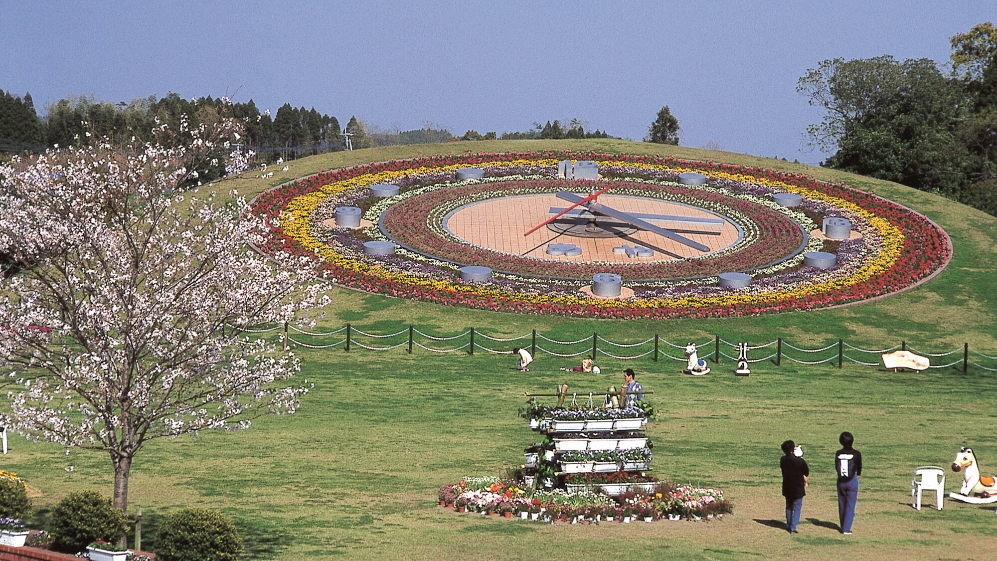 [Bajikoen Flower Clock]直徑28m！它是日本西部最大的花鐘。四個季節的花是五顏六色的