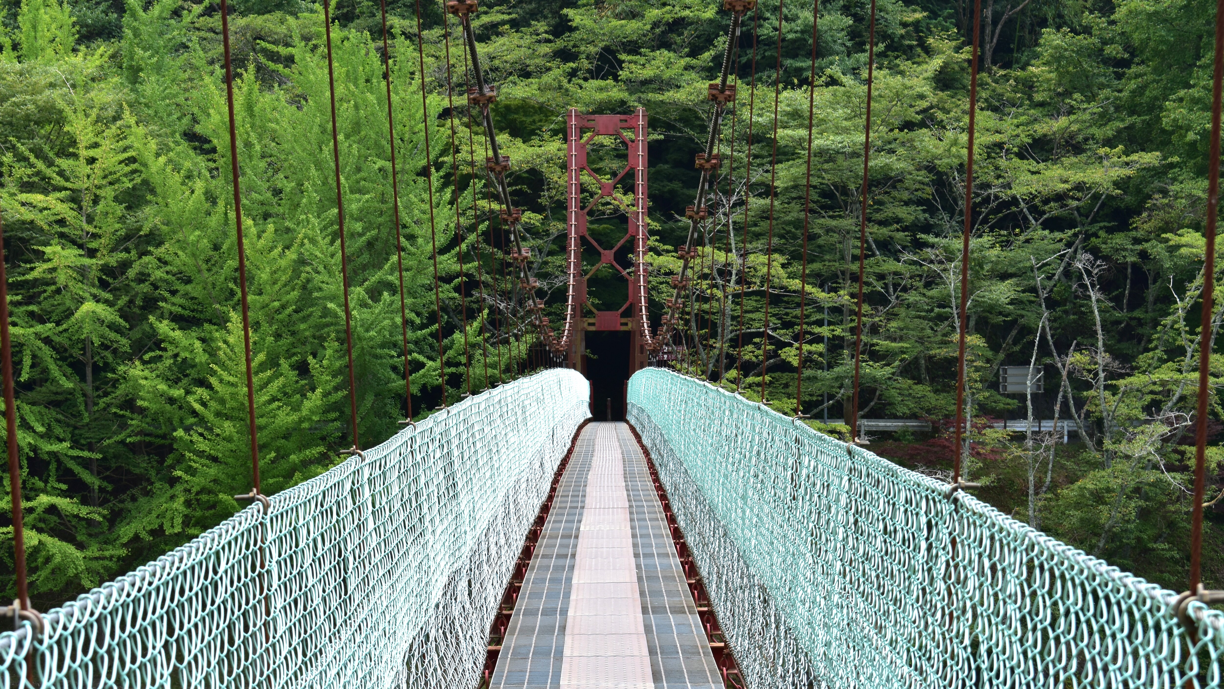 Tokkuri Suspension Bridge