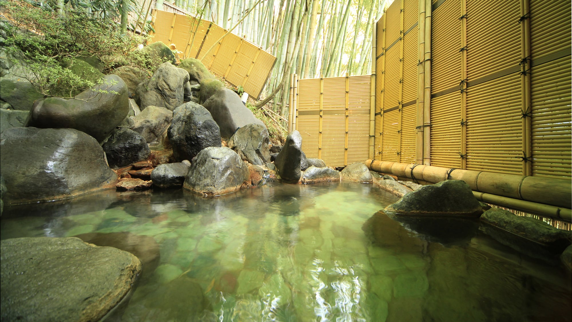 [Bamboo Forest Bath] The soothing sound of bamboo leaves swaying in the wind