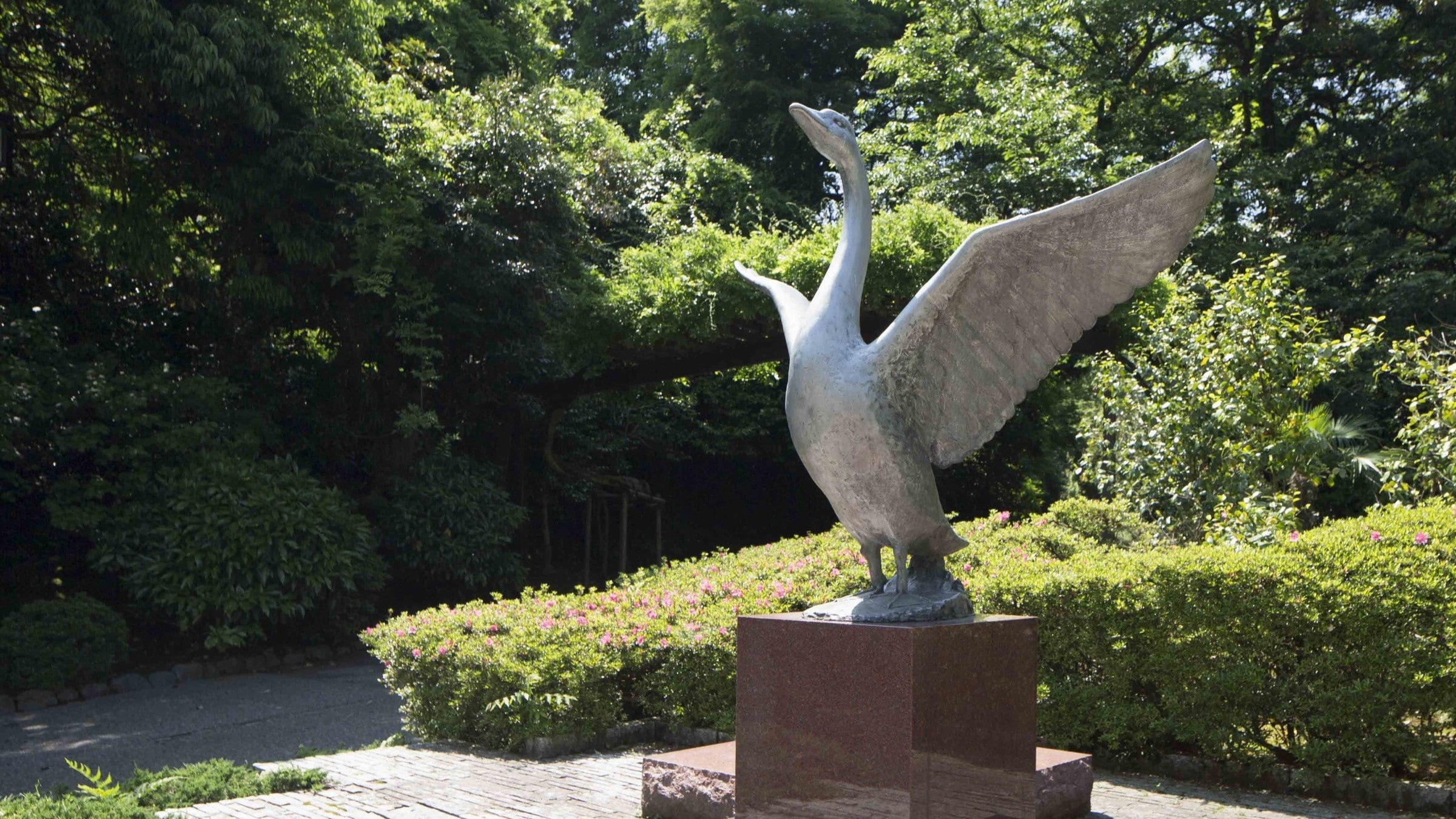 經由天鵝路步行 5 分鐘即可抵達兼六園，路邊有一座天鵝銅像。