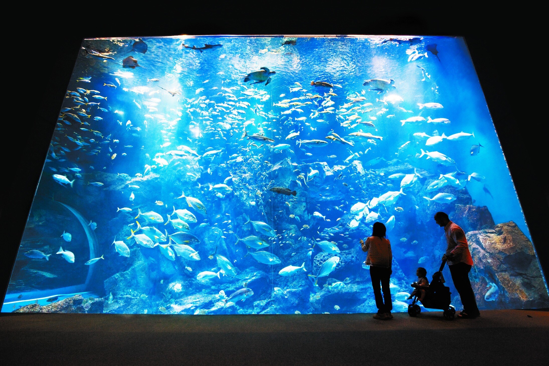 Oga Aquarium GAO is about 10 minutes from our hotel.