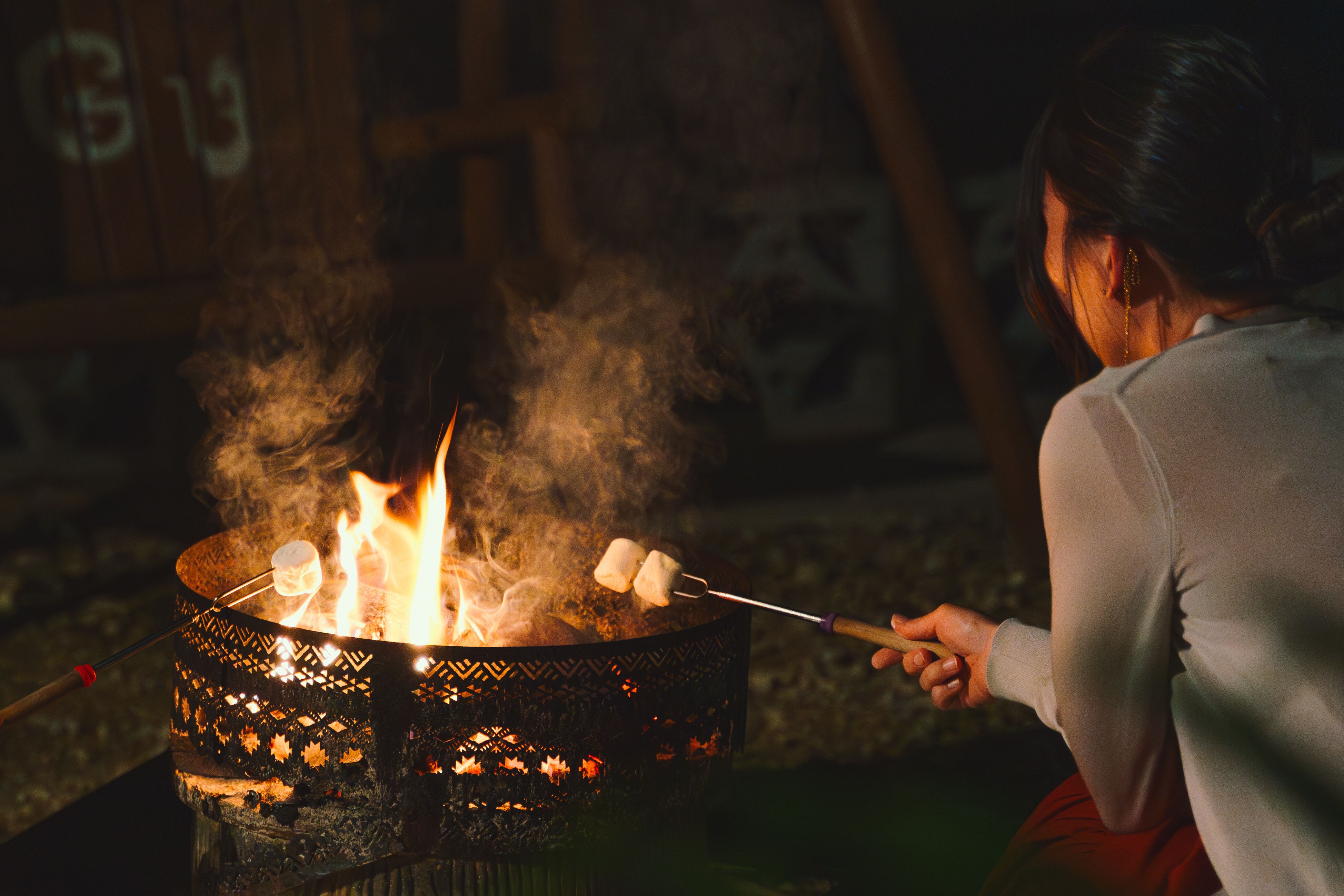 이미지 / 모닥불에 구운 마시멜로