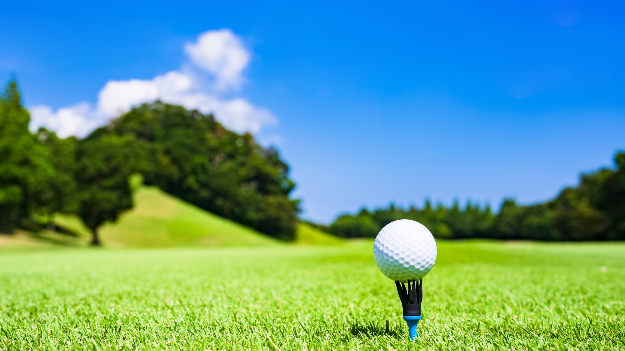 Suzuka Royal Hotel is a convenient place to stay for golfers