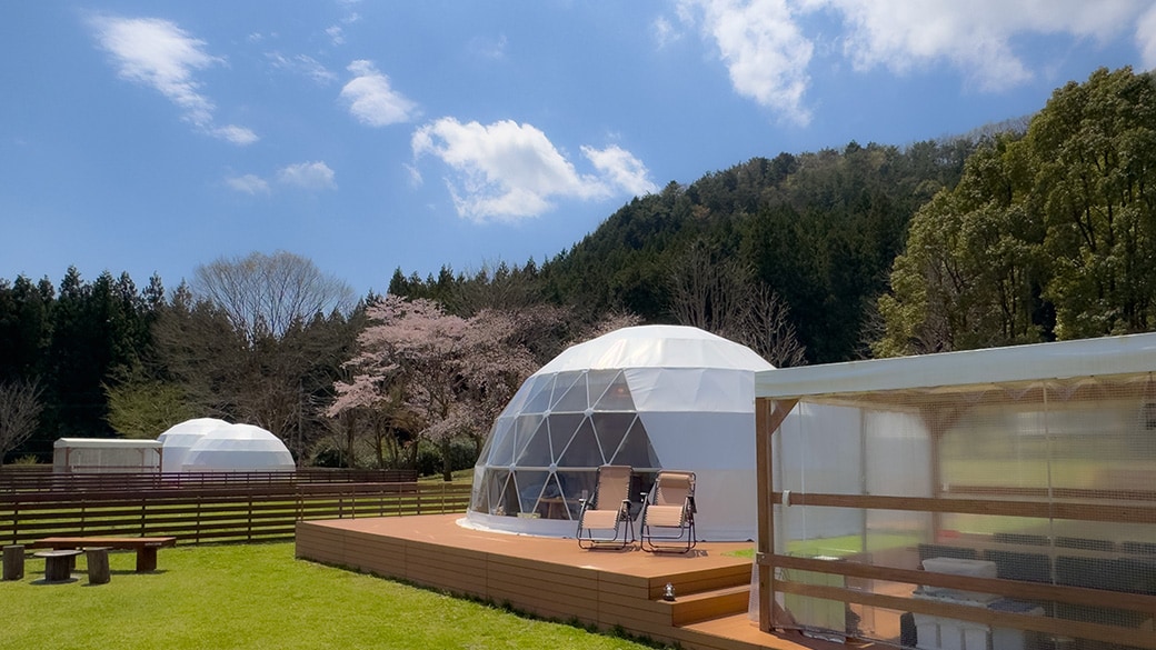 [Cho phép mang theo vật nuôi] Twin Dome