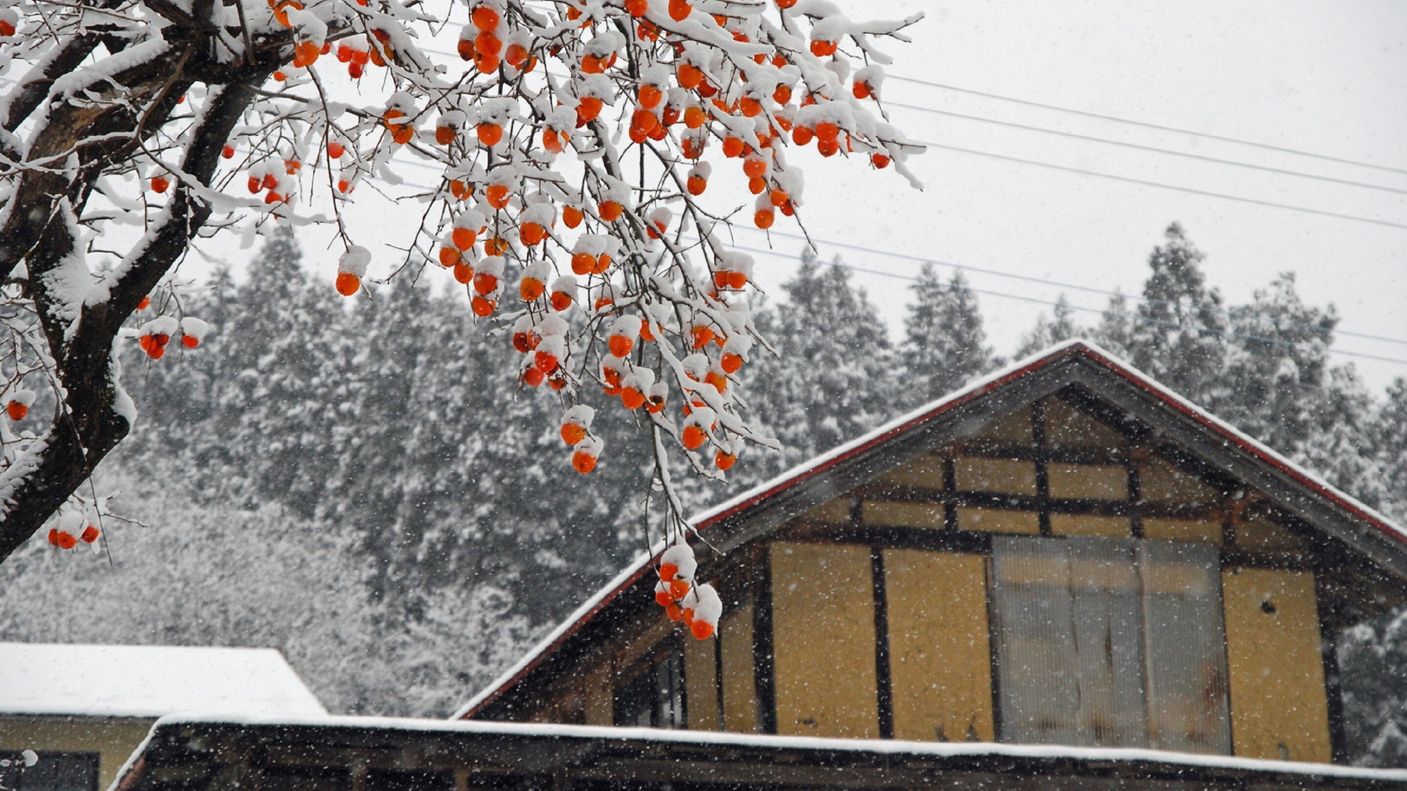 Accommodation environment_winter 1
