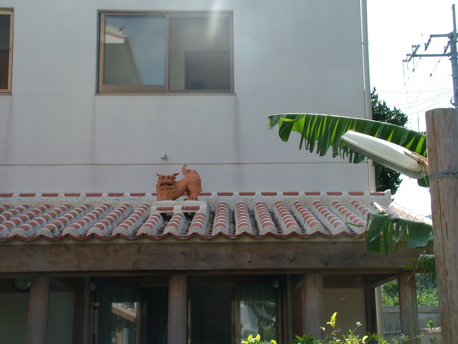 风沙