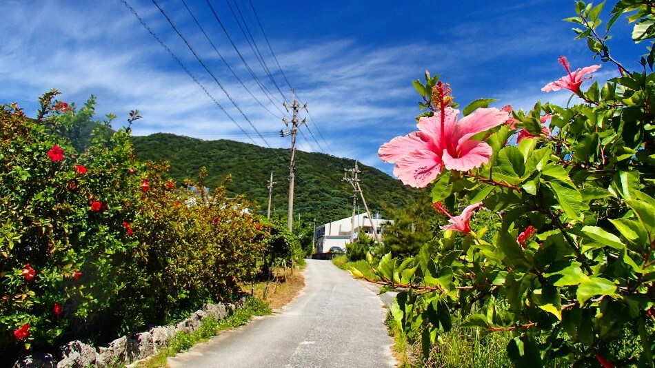 road