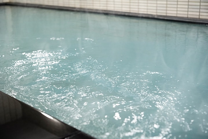 Artificial hot spring public bath (for men)