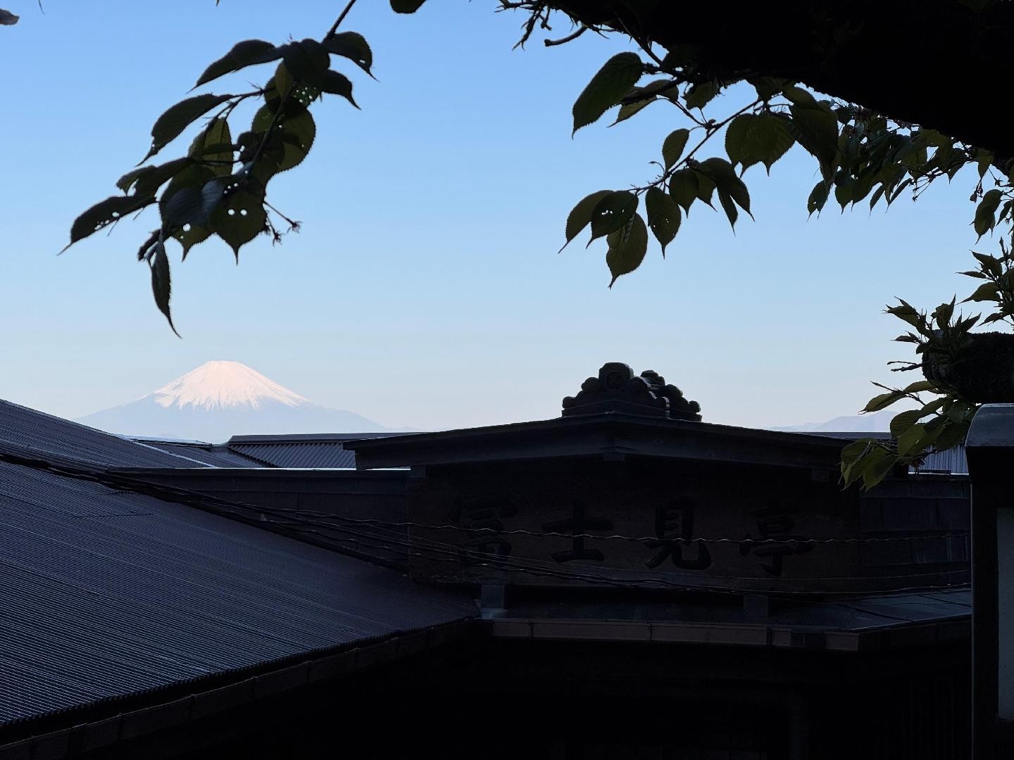 B424599C-91D5-4293-96EA-6F462D49CE28.jpeg