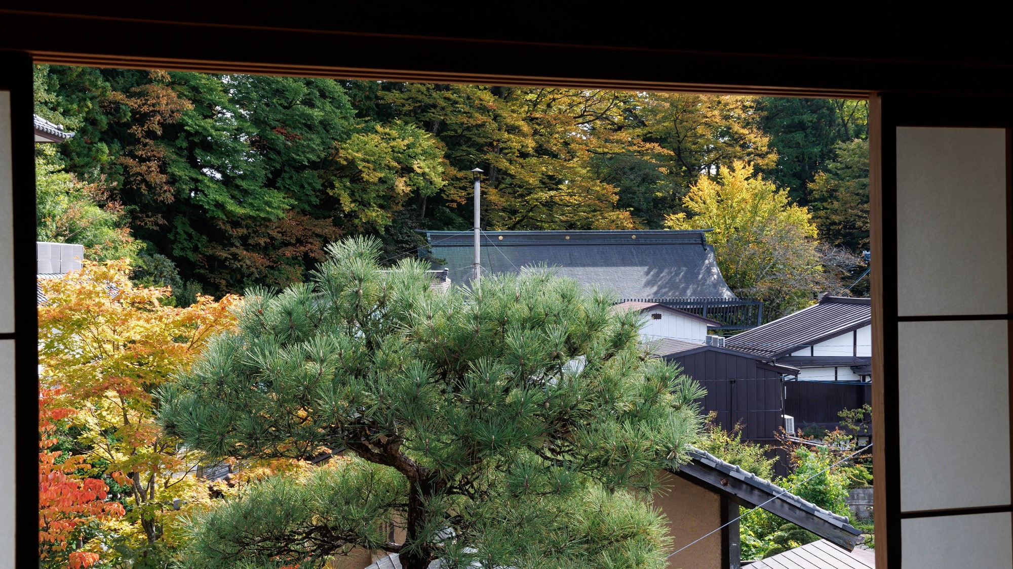 ■ [Kirishima] Main building Japanese-style room 14 tatami mats / View of the atmospheric Suwa Taisha Shrine (image)