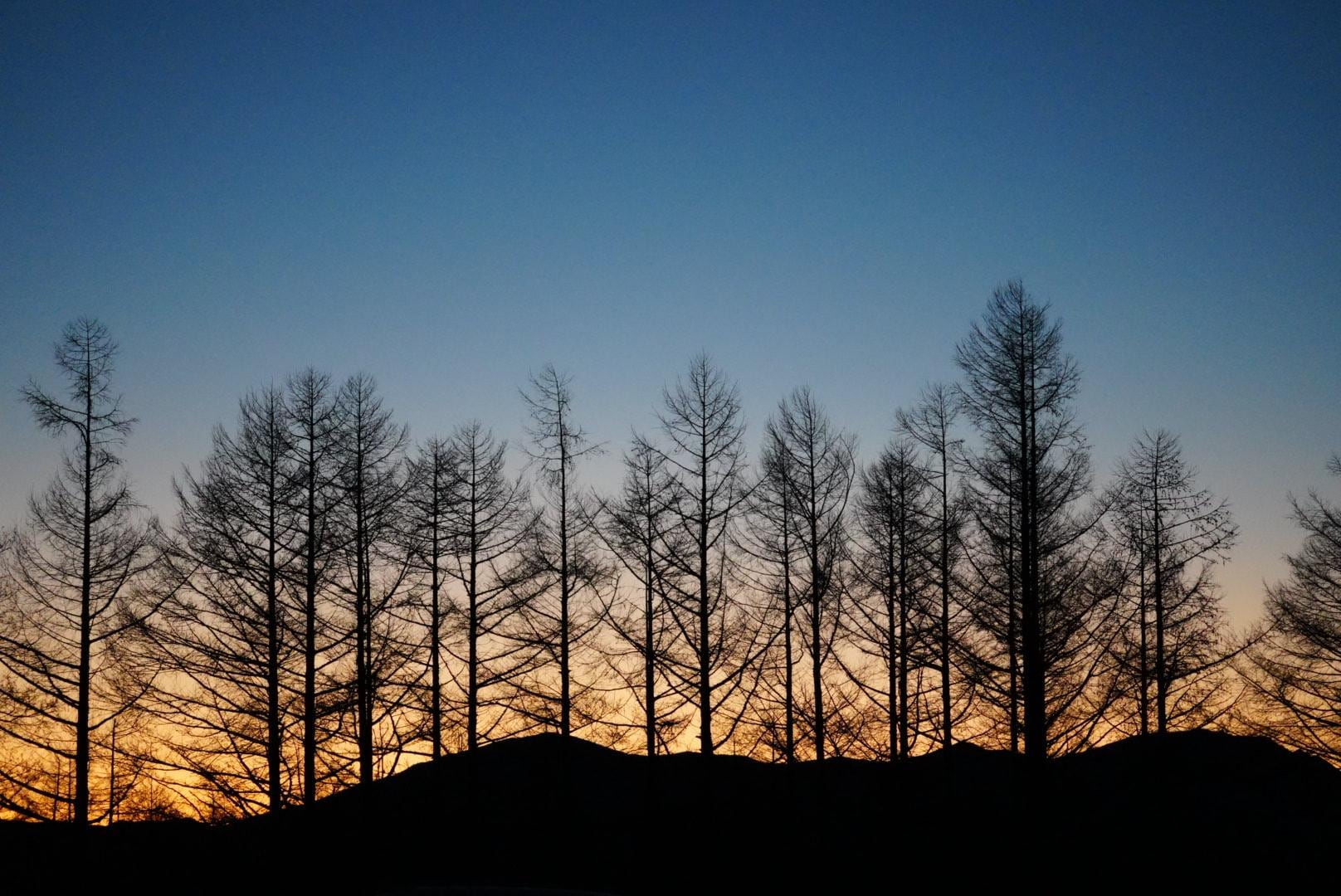 写真 2025-12-28 6 20 03.jpg