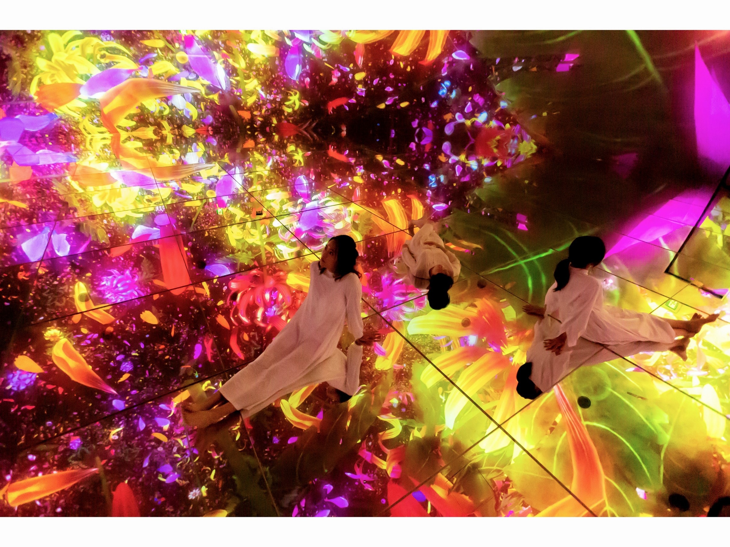 TeamLab Planets TOKYO DMM.com