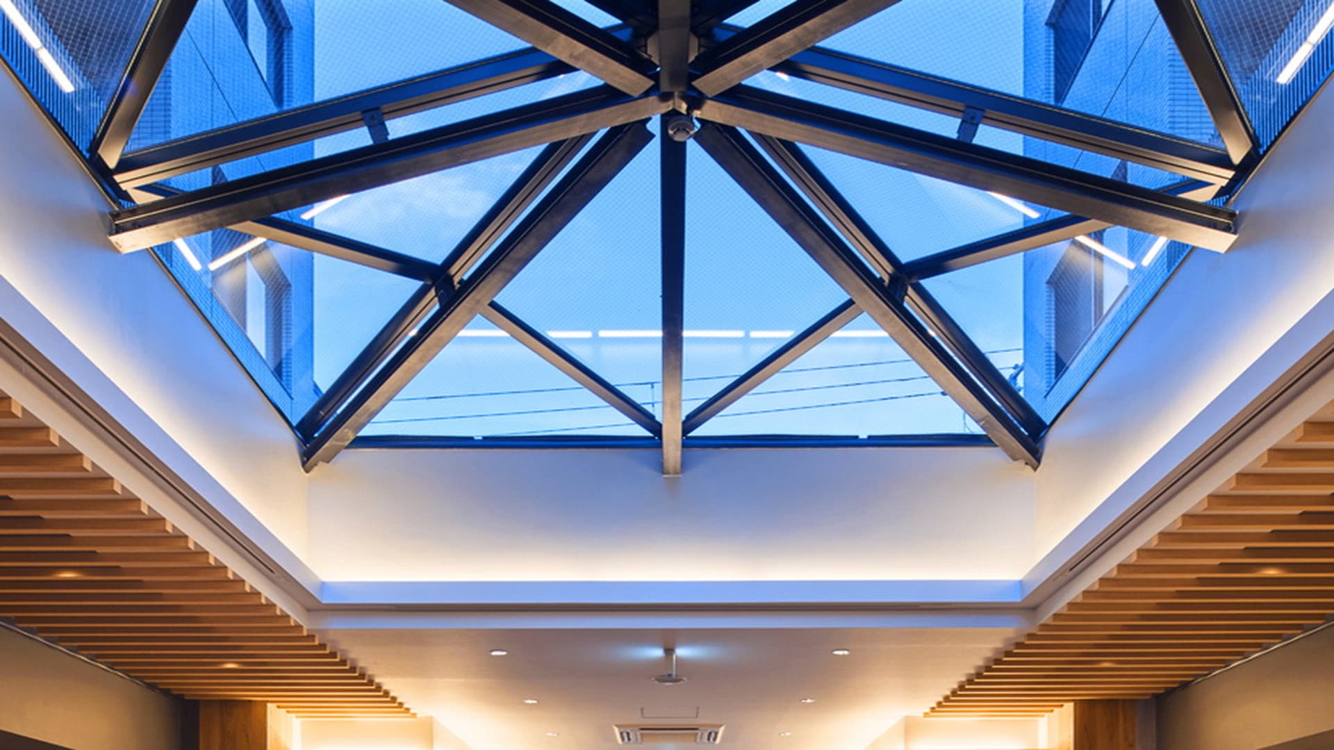 Lounge skylight