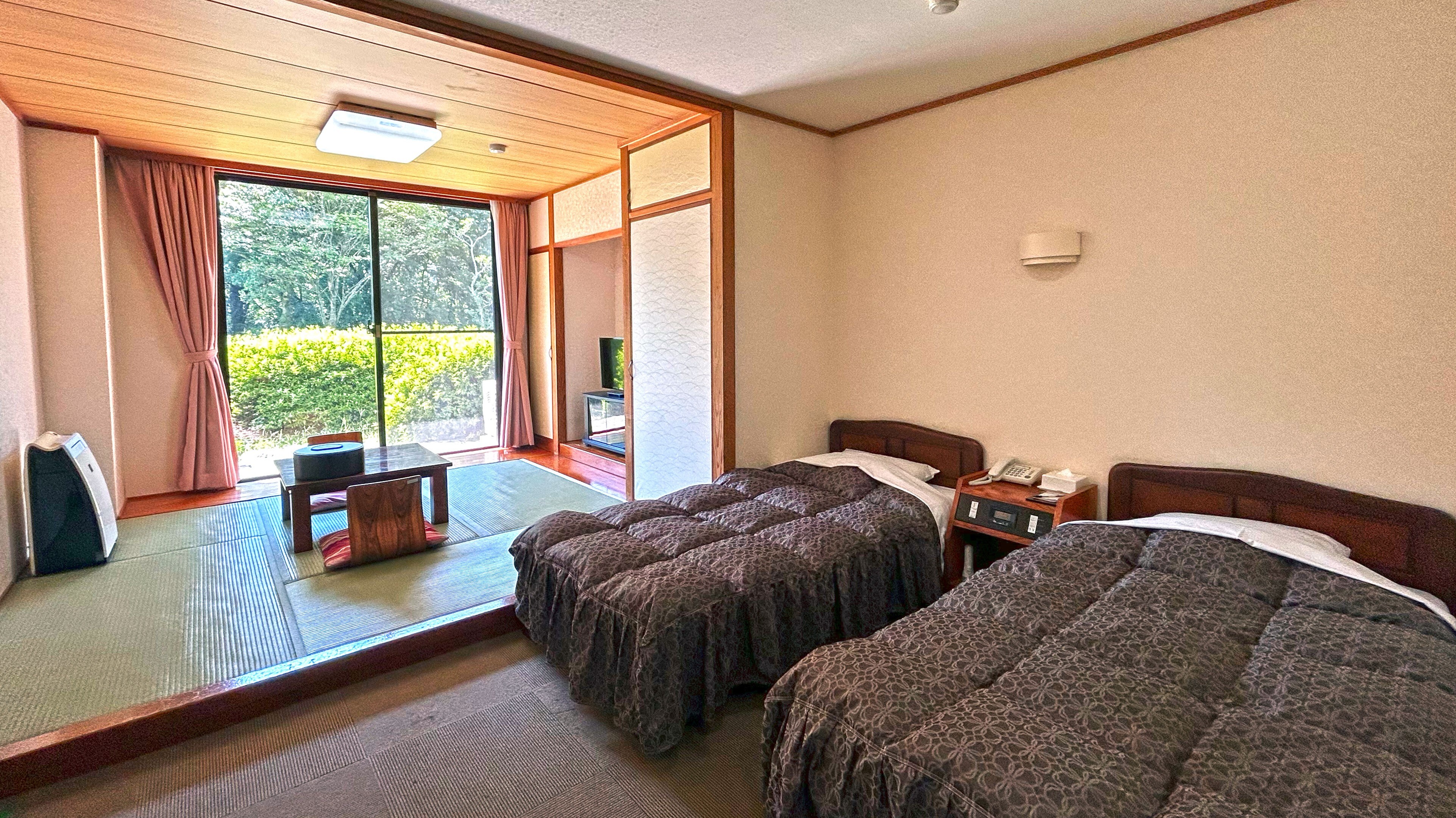 Japanese-Western style room