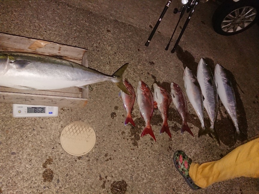 Tairaba dan Jigging