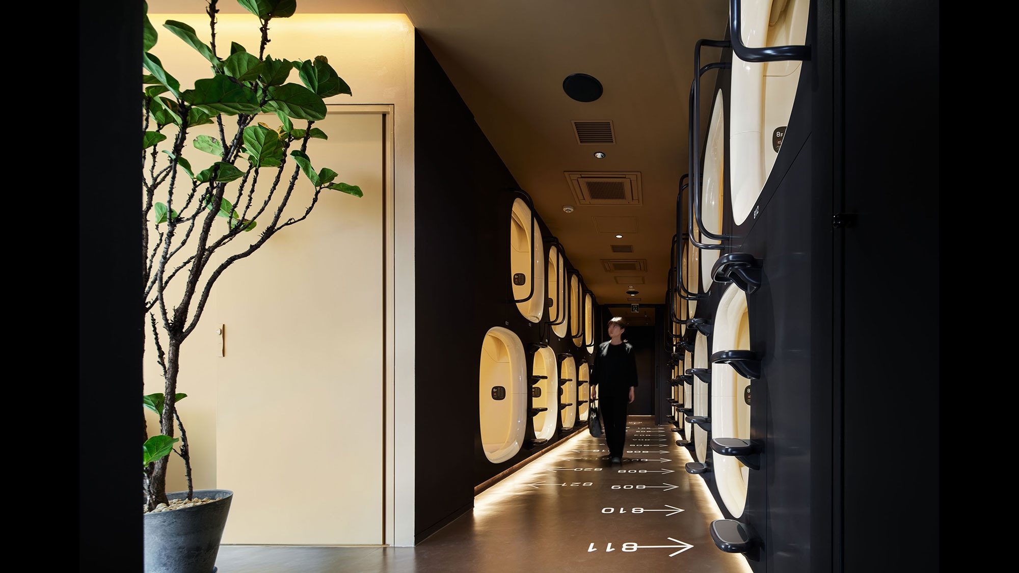 Capsule Room