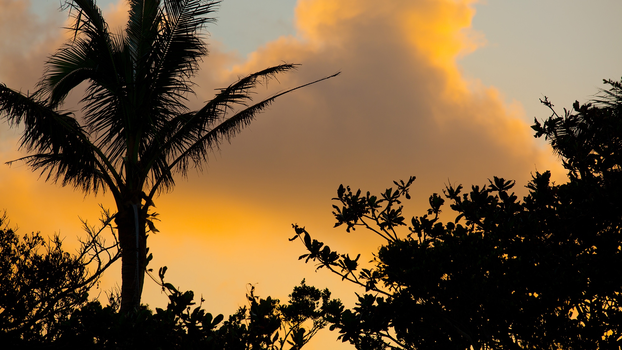 evening